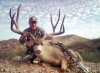 george-harms-buck-300x219.jpg