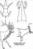fieldcare1.jpg