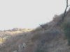 BUCKS 09 110.jpg