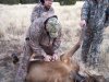 Elk Clean1.jpg