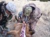 ElkClean6.jpg