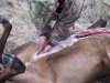 ElkClean7.jpg
