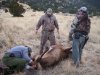 ElkClean8.jpg