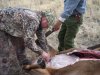 ElkClean11.jpg