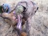 ElkClean12.jpg