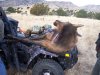 ElkClean18.jpg
