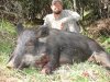 pig 1.JPG