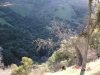 DSC05040.JPG