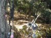 DSC04424.JPG