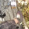DSC04425.JPG