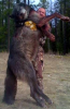 Montana Wolf.png