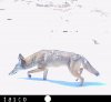 HUNT0011-3 low.jpg