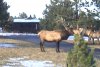 2011-10-29_17-05-59_535.jpg