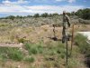 az strip 2011 051.jpg