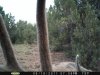 az strip 2011 2 007.jpg