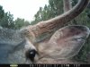 az strip 2011 2 004.jpg
