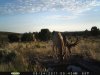 az strip 2011 257.jpg