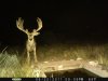 az strip 2011 124.jpg