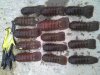 2011-11-11_08-05-58_707.jpg
