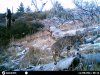 HUNT0008.JPG