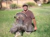steve turkey.jpg
