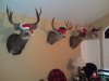 CameraZOOM-20111229200713537.jpg