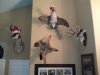 CameraZOOM-20111229200756369.jpg