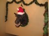 CameraZOOM-20111229200818498.jpg