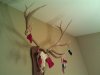 CameraZOOM-20111229200900517.jpg