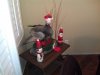 CameraZOOM-20111229200936256.jpg