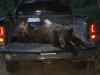 Reid's Bear 010.jpg