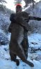 cat.jpg