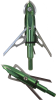 turkey.png
