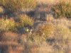 IMG_2968.JPG