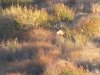 IMG_2969.JPG