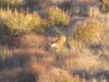 IMG_2970.JPG