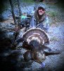 archery turk-1.jpg