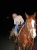 Horse and Pig.jpg