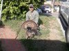 2012 tom.jpg