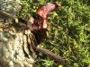 2012-04-07_07-48-56_145.jpg