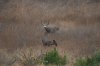 DSC_0364.JPG