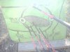 downsized_0521121711a.jpg