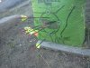 downsized_0521121732.jpg