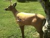 2012-06-15_16-06-16_533 (800x600).jpg