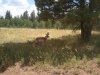 2011-08-18 14.24.55.jpg