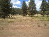2011-08-18 14.24.31.jpg