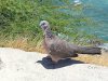 20120811_122811.jpg