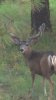 2012-08-18_06-01-08_266.jpg