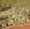 camo-image-max1-6.jpg
