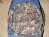 DSC05161.JPG